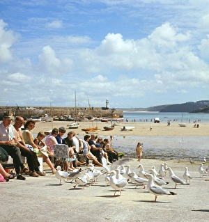 Holidaymakers feeding gulls, St Ives, Cornwall Holidaymakers feeding gulls, St Ives, Cornwall