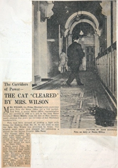 <b class=qtipBold><figcaption>Home office cat story</figcaption></b><br>Peta the Home Office cat is cleared by Mrs Harold Wilson 30 June 1967 Date: 30th June 1967<br><em>© Mary Evans / National Archives</em> Home office cat story