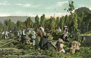 Poles Gallery: Hop Pickers