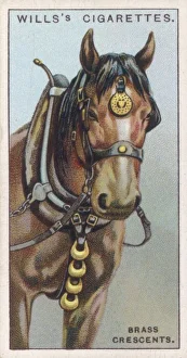 <b class=qtipBold><figcaption>Horse Brasses</figcaption></b><br>HORSE BRASSES talismans favoured by English countryfolk to protect their horses and for general good luck<br><em>© Mary Evans Picture Library</em> Horse Brasses