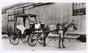 Horse-drawn hackney carriage, Gibraltar Horse-drawn hackney carriage, Gibraltar