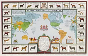 Breeds Gallery: Horse Map of World 1936
