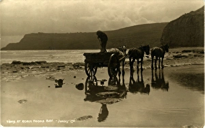 Horses & Cart, Robin Hoods Bay, Whitby, England Horses & Cart, Robin Hoods Bay, Whitby, England