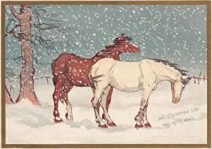 Windy Collection: Two horses in the snow