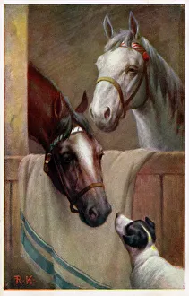 Two Horses in the stable with a small terrier Two Horses in the stable with a small terrier