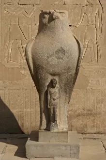 Images Dated 30th November 2003: Horus. Egypt