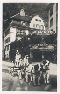 Hotel Stern with dogs, Fluelen, Uri, Switzerland Hotel Stern with dogs, Fluelen, Uri, Switzerland
