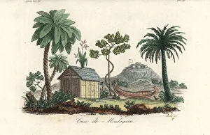House of the Malagasy people of Madagascar House of the Malagasy people of Madagascar