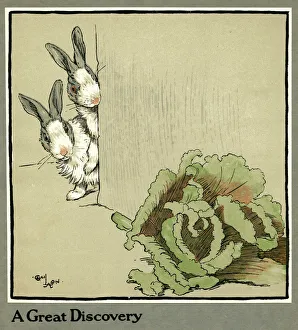 Humpty and Dumpty the rabbits find a cabbage Humpty and Dumpty the rabbits find a cabbage
