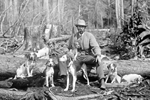 Huneter with his pack of Beagle dogs deer hunting in America Huneter with his pack of Beagle dogs deer hunting in America