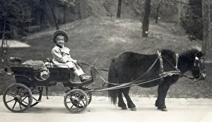 Hungary - Young girl at the reins of a miniature pony cart. Date: 1923 Hungary - Young girl at the reins of a miniature pony cart. Date: 1923