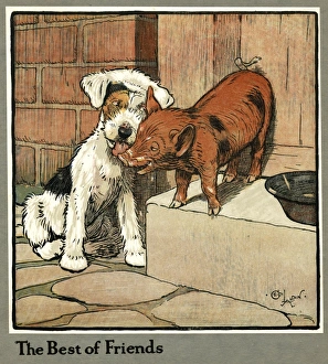 Hungry Peter as a piglet makes friends with a dog Hungry Peter as a piglet makes friends with a dog