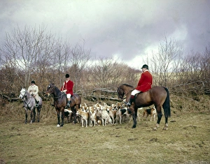 Three hunt members, horses and foxhounds Three hunt members, horses and foxhounds