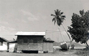 Hut, boat and trees, La Digue, Seychelles Hut, boat and trees, La Digue, Seychelles
