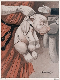 <b class=qtipBold><figcaption>Ignominy by George Studdy</figcaption></b><br>Bonzo, the comic canine creation of George Studdy looks somewhat embarrassed as he is carried by the scruff of his neck across the road by his lady owner. Credit line must read: Estate of George Studdy/Gresham Marketing Ltd./Mary Evan"<br><em>© Estate of George Studdy/Gresham Marketing Ltd./Mary Evans</em> Ignominy by George Studdy