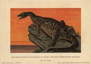 Iguanodon Collection: Iguanodon bernissartensis, extinct ground-dwelling