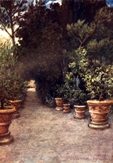 The Ilex Walk, Villa dell Ombrellino San Domenico, Italy The Ilex Walk, Villa dell Ombrellino San Domenico, Italy