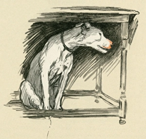 Illustration by Cecil Aldin, Cracker under a table Illustration by Cecil Aldin, Cracker under a table