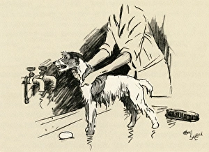 Illustration by Cecil Aldin, dog being given a bath Illustration by Cecil Aldin, dog being given a bath