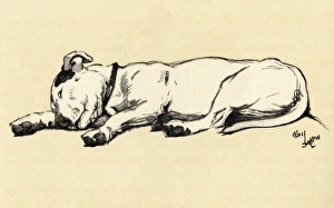 Illustration by Cecil Aldin, end of a perfect day Illustration by Cecil Aldin, end of a perfect day