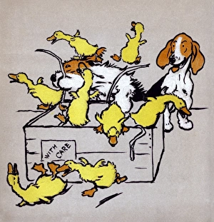 Illustration by Cecil Aldin, The Farmyard Puppies Illustration by Cecil Aldin, The Farmyard Puppies