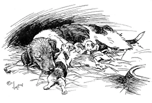Illustration by Cecil Aldin, Hotspur the Beagle Illustration by Cecil Aldin, Hotspur the Beagle