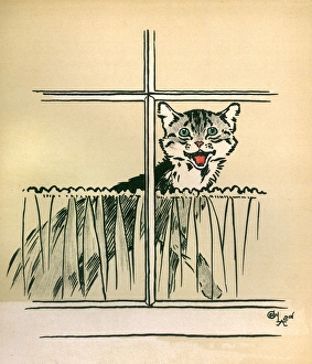 Curtain Gallery: Illustration by Cecil Aldin, Jack and Jill