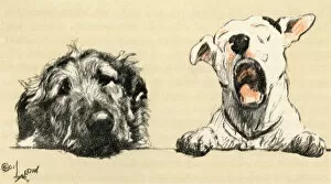 Bored Gallery: Illustration by Cecil Aldin, Micky and Cracker
