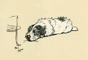 Illustration by Cecil Aldin, Sealyham terrier Illustration by Cecil Aldin, Sealyham terrier