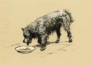 Illustration by Cecil Aldin, study of a Chow Illustration by Cecil Aldin, study of a Chow