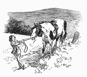 Illustration, girl pulling at Jokers reins Illustration, girl pulling at Jokers reins