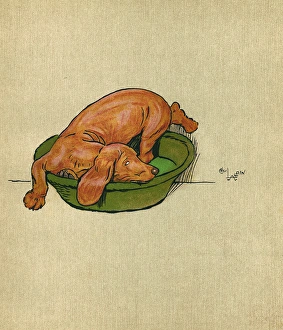 Illustration, Merry and Bright, by Cecil Aldin