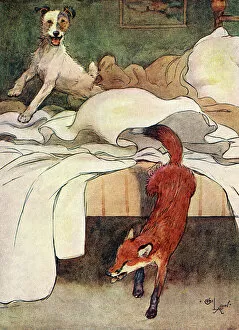 Aldin Gallery: Illustration, Peter, the fox terrier, discovers a fox
