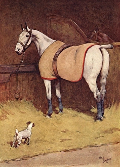 Illustration, Peter, the fox terrier, in the stables Illustration, Peter, the fox terrier, in the stables