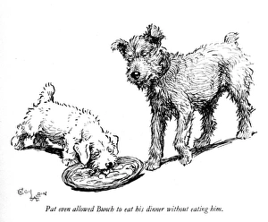Illustration of a Sealyham terrier puppy by Cecil Aldin Illustration of a Sealyham terrier puppy by Cecil Aldin
