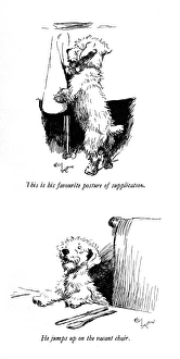 Illustrations of a Sealyham terrier by Cecil Aldin Illustrations of a Sealyham terrier by Cecil Aldin