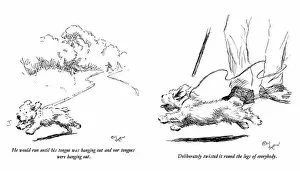 Master Gallery: Illustrations of a Sealyham terrier puppy by Cecil Aldin