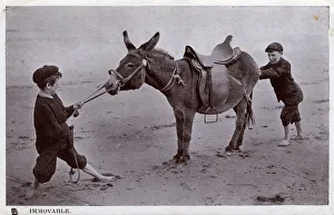 Pull Gallery: Immovable - 2 young boys fail to get a beach donkey to move