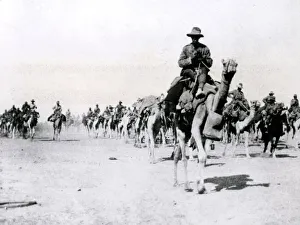 Imperial Camel Corps Brigade, Beersheba, WW1 Imperial Camel Corps Brigade, Beersheba, WW1