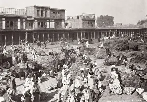 India - halt of a camel caravan, Peshawar, Khyber Pass India - halt of a camel caravan, Peshawar, Khyber Pass