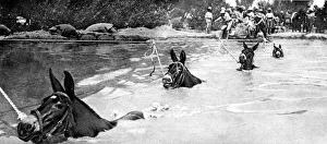 An Indian artillery battery crossing a river An Indian artillery battery crossing a river