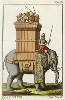 Trunk Collection: Indian Military Elephant