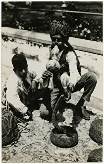 Indian Snake Carmer - Singapore, Malaysia Indian Snake Carmer - Singapore, Malaysia