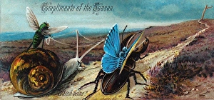 Three insects and a snail on a Christmas card Three insects and a snail on a Christmas card