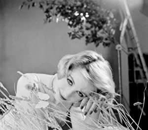 <b class=qtipBold><figcaption>(insert)</figcaption></b><br>(insert) Date: 1959<br><em>© The Colin Sherborne Collection/Mary Evans Picture Library</em> (insert)