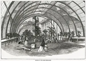 Interior of the Great Palm-House at Royal Gardens. Date: 1848 Interior of the Great Palm-House at Royal Gardens. Date: 1848