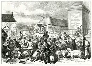 Meath Gallery: Ireland pig fair at Trim, County Meath 1870