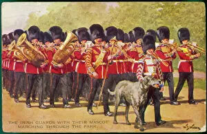 1907 Collection: Irish Wolfhound Mascot