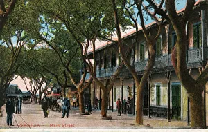 <b class=qtipBold><figcaption>Ismailia, Egypt - The Main Street</figcaption></b><br>Ismailia, Egypt - The Main Street. Date: 1918<br><em>© Mary Evans / Grenville Collins Postcard Collection</em> Ismailia, Egypt - The Main Street