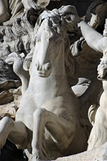 Italy. Rome. Fontana di Trevi. 18th century. Sea horse Italy. Rome. Fontana di Trevi. 18th century. Sea horse